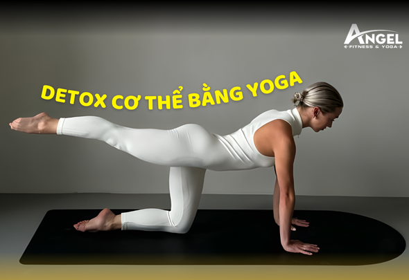 Detox cơ thể bằng Yoga – Cơ chế thanh lọc tự nhiên từ bên trong
